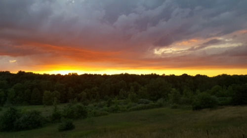 Farmington Finger Lakes Hotel المظهر الخارجي الصورة